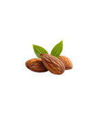 Barra proteica de almendra – Almond Passion - Pack 5 barras