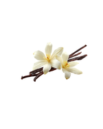 Cargar imagen en el visor de la galería, Barra proteica de almendra – Vanilla Temptation
